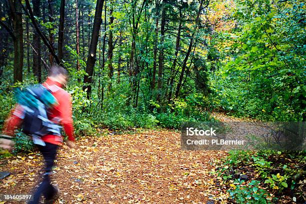 남자 하이킹 가을에 대한 스톡 사진 및 기타 이미지 - 가을, 건강한 생활방식, 걷기