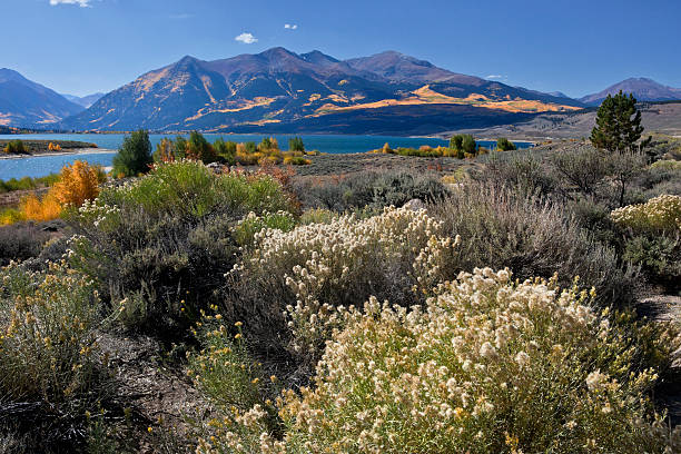 istock Mt. Elbert & Twin Lakes, Colorado in Autumn 184605985