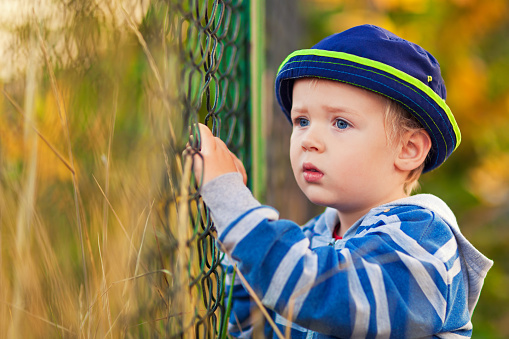 Child boy and wire mesh  fencing