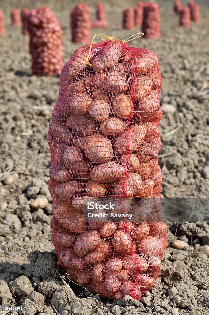 Papas en la bolsa - Foto de stock de Alimento libre de derechos