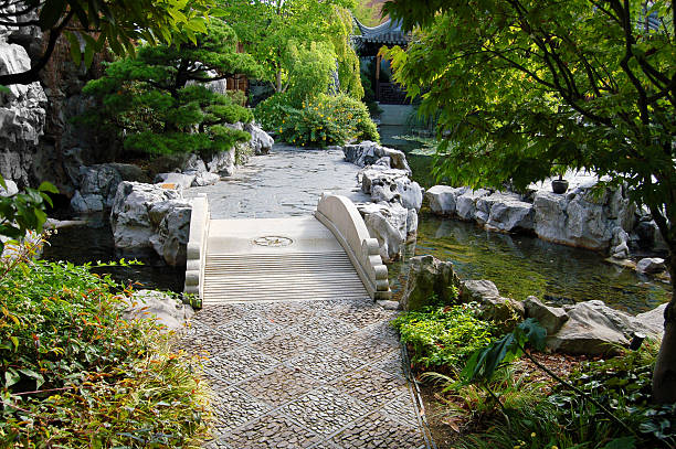 istock Bridge in Chinese Garden 184606302