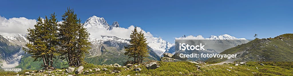 Mont Blanc śniegu szczytami Alpine panorama Francja - Zbiór zdjęć royalty-free (Aiguilles de Chamonix)