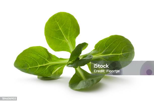 Gemüse Feldsalat Stockfoto und mehr Bilder von Feldsalat - Feldsalat, Freisteller – Neutraler Hintergrund, Salat - Blattgemüse