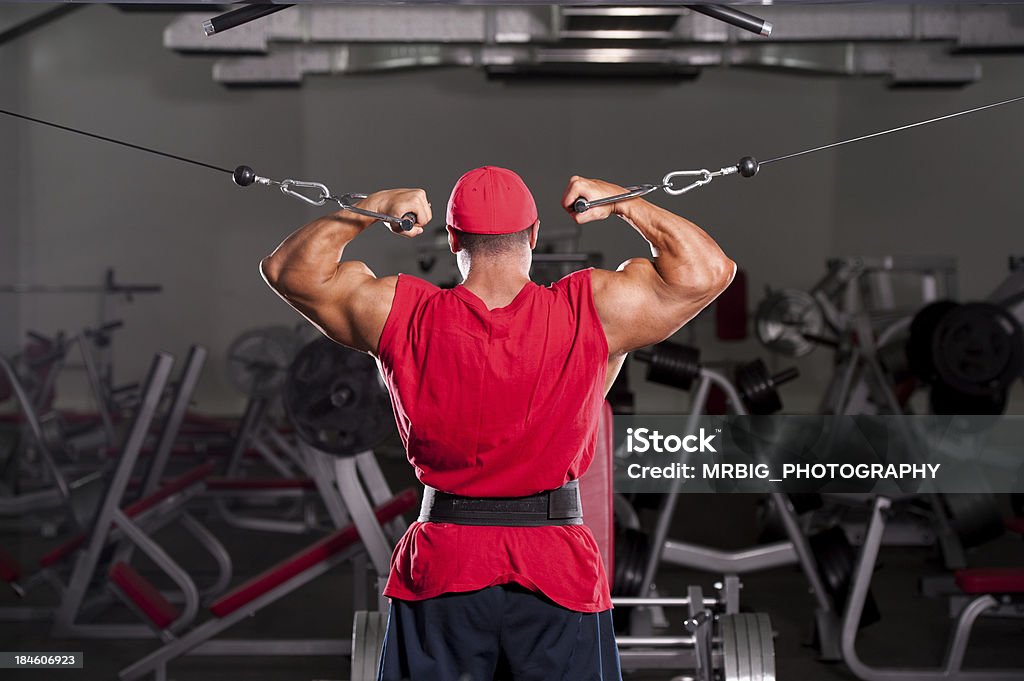 Working Out Muscular Men Exercise in the Gym Active Lifestyle Stock Photo