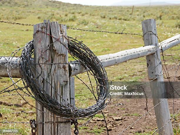 Filo Spinato - Fotografie stock e altre immagini di Agricoltura - Agricoltura, Composizione orizzontale, Cowboy