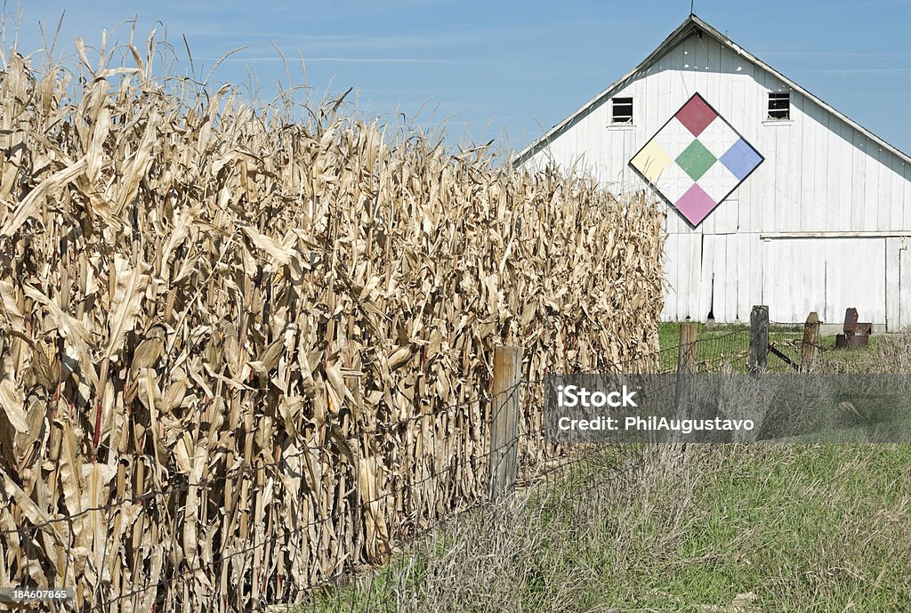 Ripe corn and barn in Iowa Barn with wooden quilt and ripe corn in Midwest USA Quilt Stock Photo