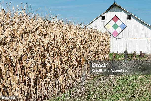 Ripe Corn And Barn In Iowa Stock Photo - Download Image Now - Quilt, Barn, Corn