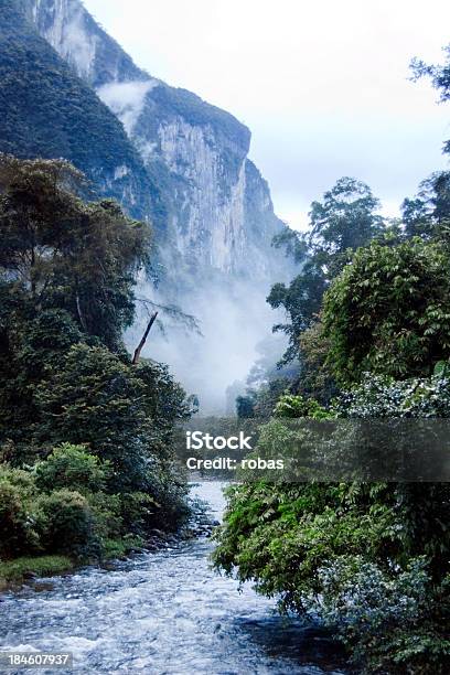 Jungle River With Motion Blur Stock Photo - Download Image Now - Island of Borneo, Blue, Copy Space