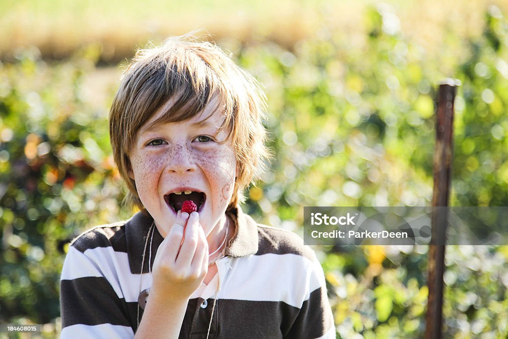 Восхитительный милый мальчик ест свежие выбрали органических малиновый - Стоковые фото 8-9 лет роялти-фри