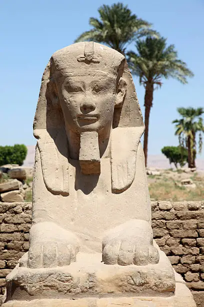 Sphinx in temple of luxor