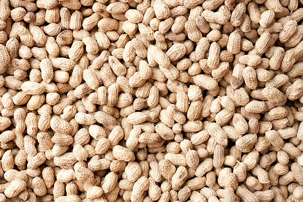 peanuts 배경기술 - peanut allergy food fruit 뉴스 사진 이미지