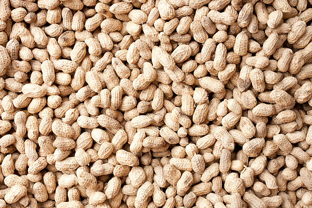 orzeszki ziemne tle - peanut legume textured effect fat zdjęcia i obrazy z banku zdjęć