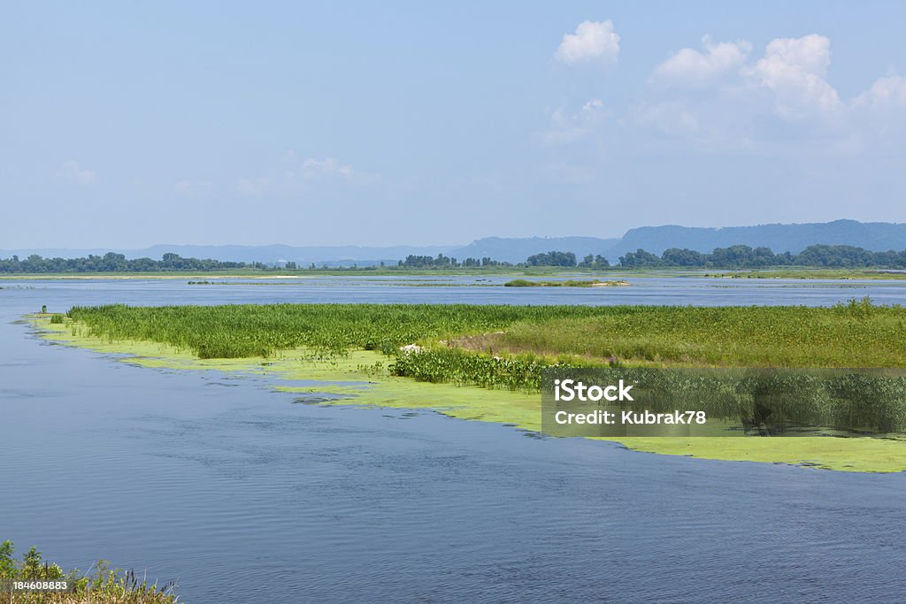 Rio Mississippi - Foto de stock de Rio Mississipi royalty-free