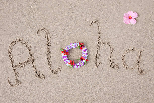 Aloha Pictures | Download Free Images on Unsplash