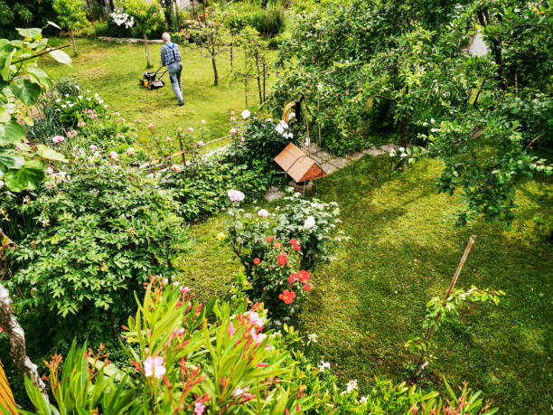 istock High Angle View of Senior Man Gardening in Spring 1846093028