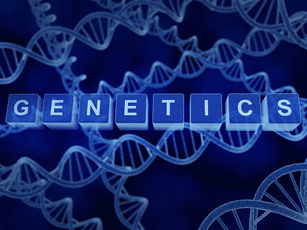 Genetics - Photo