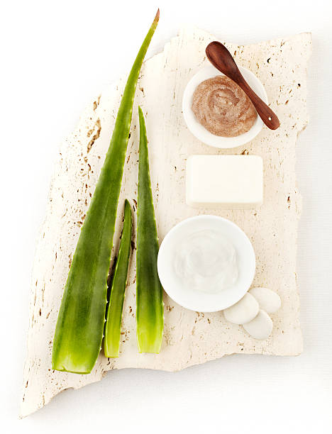 Spa still life with aloe vera, sugar scrub and soap