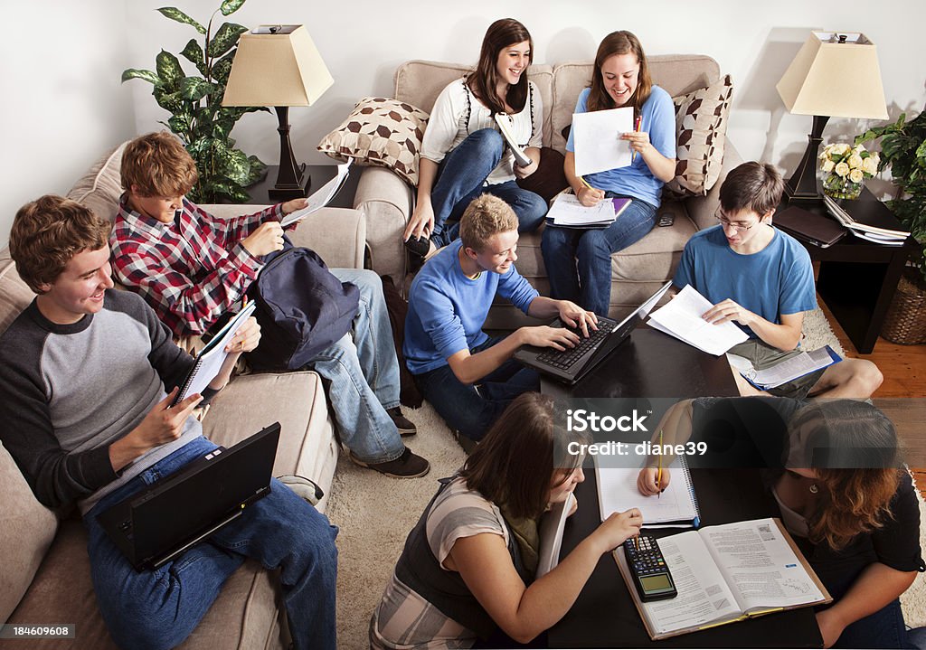 Teens studying in a home setting A group of teenagers in a home setting studying together. High School Student Stock Photo