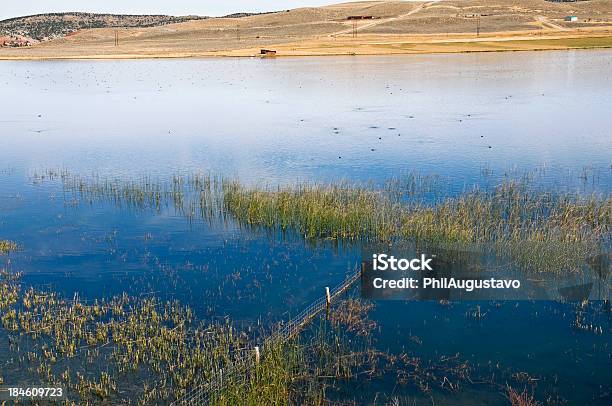 Reserva De Aves Em Wyoming - Fotografias de stock e mais imagens de Abrigo de Jardim - Abrigo de Jardim, Animal, Caniço