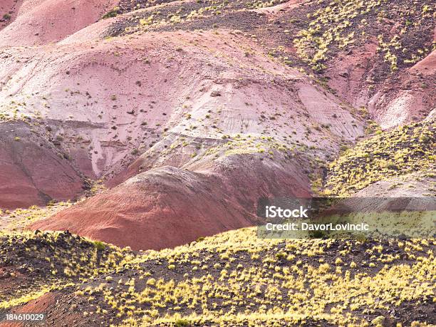 Photo libre de droit de Herbe Dans Le Désert banque d'images et plus d'images libres de droit de Arizona - Arizona, Badlands, Camping