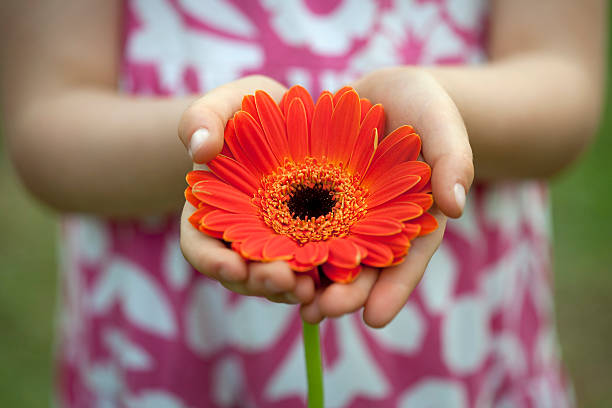 istock Little girl holding a gerbera daisy flower 184610095