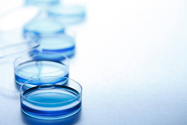 istock Row of blue petri dishes 184610096