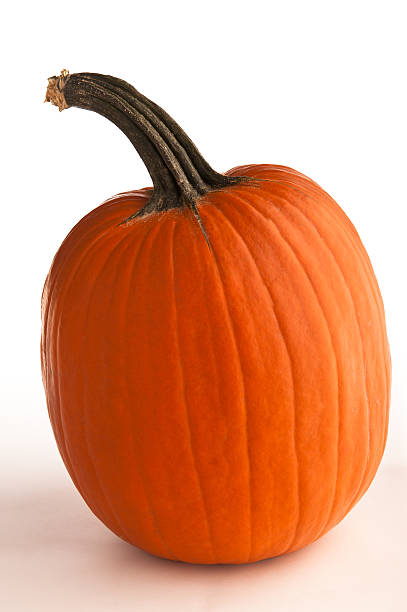 Pumpkin stock photo