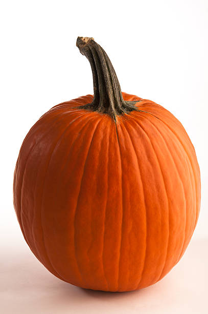 Pumpkin stock photo