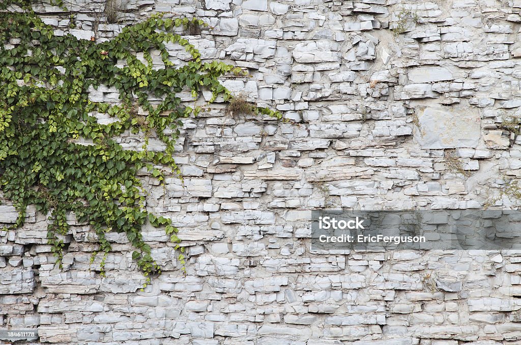 Pared de piedra fondo con ivey - Foto de stock de Hiedra libre de derechos