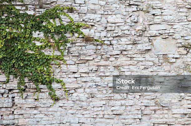 Pared De Piedra Fondo Con Ivey Foto de stock y más banco de imágenes de Hiedra - Hiedra, Pared, Piedra - Material de construcción