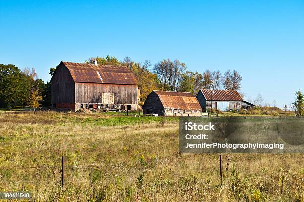 Wisconsin Terreni Agricoli - Fotografie stock e altre immagini di Acero - Acero, Agricoltura, Ambientazione esterna