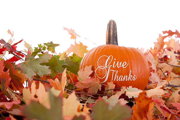 istock Thank You - Thanksgiving Theme 184611720