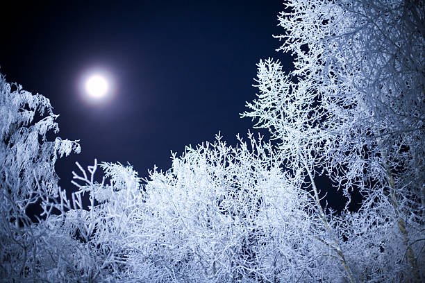 heavy snowfall, winter in town.