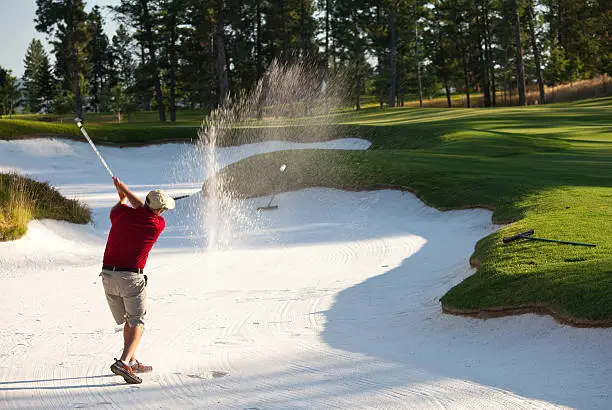 A golfer blasts a ball out of a bunker. Horizontal colour image. Senior golfer in his early 50s. Fit, healthy senior aged golfer hitting a bunker shot on a beautiful golf course with pristine turf conditions. Golfer is wearing red polo shirt, cargo shorts, and red golf shoes. 