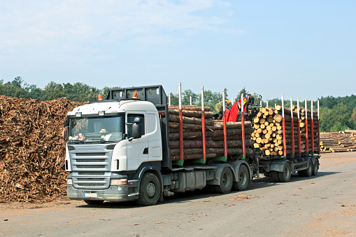 Logging truck in saw mill.