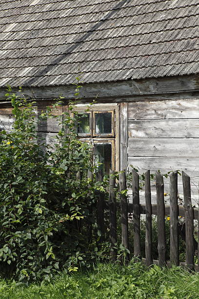 istock Polish cottage XXXL 184612596