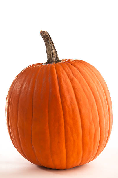 Pumpkin stock photo