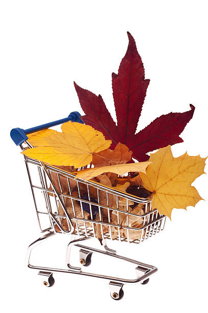 istock Autumn shopping cart 184612887