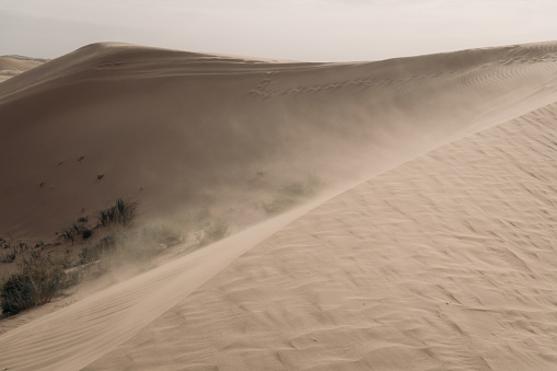 Tengger desert scenery, Inner Mongolia, China. The windy weather with sand moving on Dunes