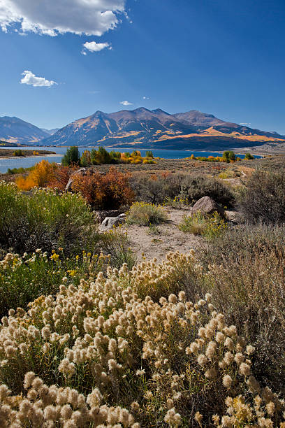 istock Mt. Elbert & Twin Lakes, Colorado in Autumn 184613357