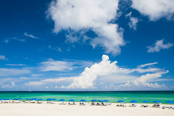 istock resort recliners with umbrellas at a beach in Miami, Florida 184613402