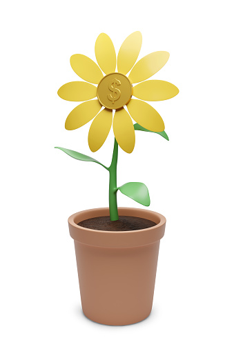Cartoon money plant in a pot isolated on white background. 3d illustration.