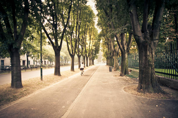 Riding A Bicycle Along Tree-Lined Anenue, Milan stock photo