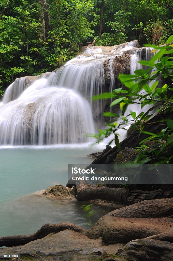 Cascade dans la forêt de Thaïlande - Photo de Arbre libre de droits