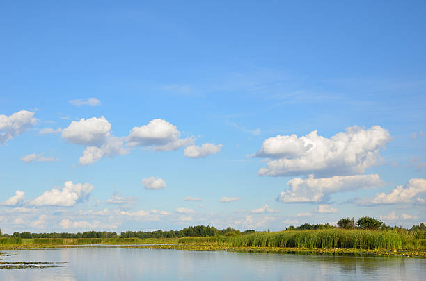 istock Summer sky over the calm lake. 184615528