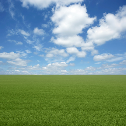 green grass field with bright cloudy sky (XXL)
