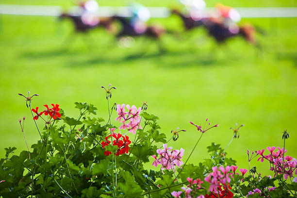 istock Day at the Races 184616895