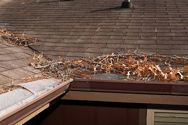 Autume Foilage Clean-up around the gutters of a house. eaves stock pictures, royalty-free photos & images