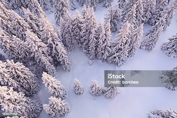 Foresta Bianco - Fotografie stock e altre immagini di Neve - Neve, Veduta aerea, Foresta