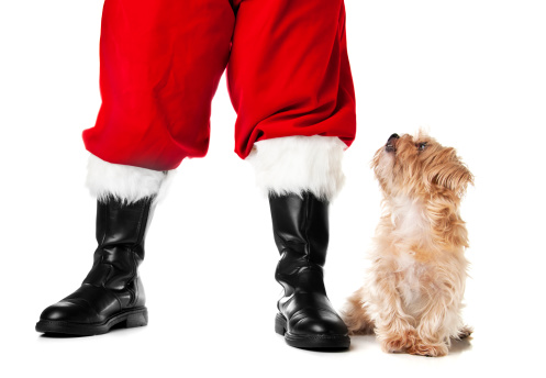Santa Claus and pet dog.  Please see my portfolio for other Santa and pet related images.
